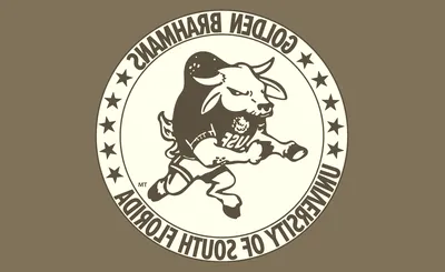 South Florida Bulls